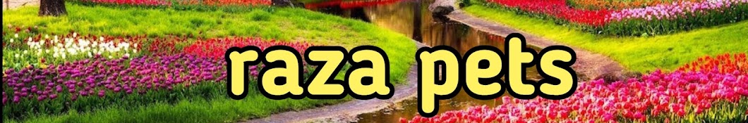 Raza pets