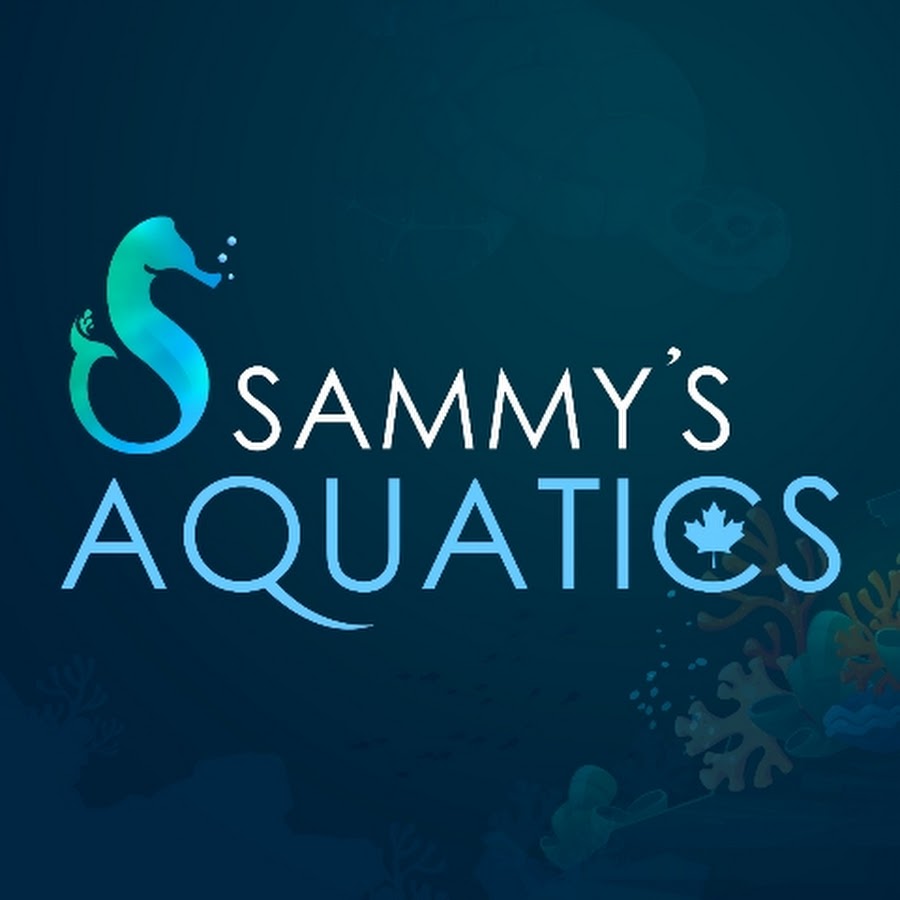 Sammys Aquatics - YouTube