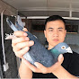 北斗赛鸽 BeiDou Racing Pigeon