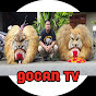 GOCAN TV