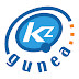 logo KZguneaTIC