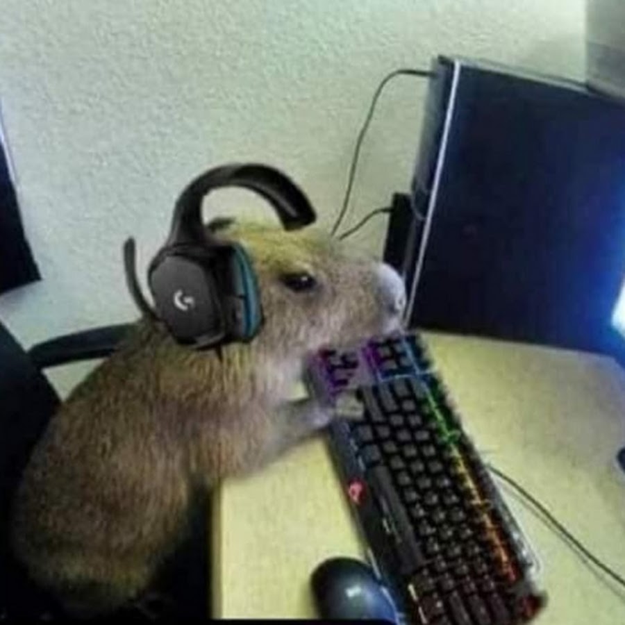 Hey capivara passando aqui pra perguntar se alguém tem o link do Minecraft  aquele q deixar o link nós comentários receberá um prêmio : r/HUEstation