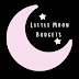 Little Moon Budgets