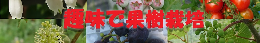 趣味で果樹栽培