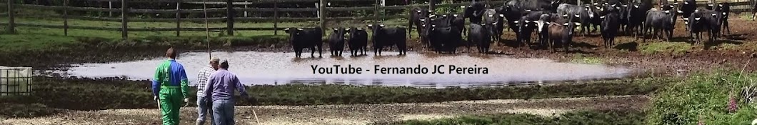 Fernando JC Pereira Banner