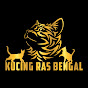 Kucing Ras Bengal
