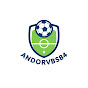 AndorVbs