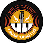 Organ Đường Phố