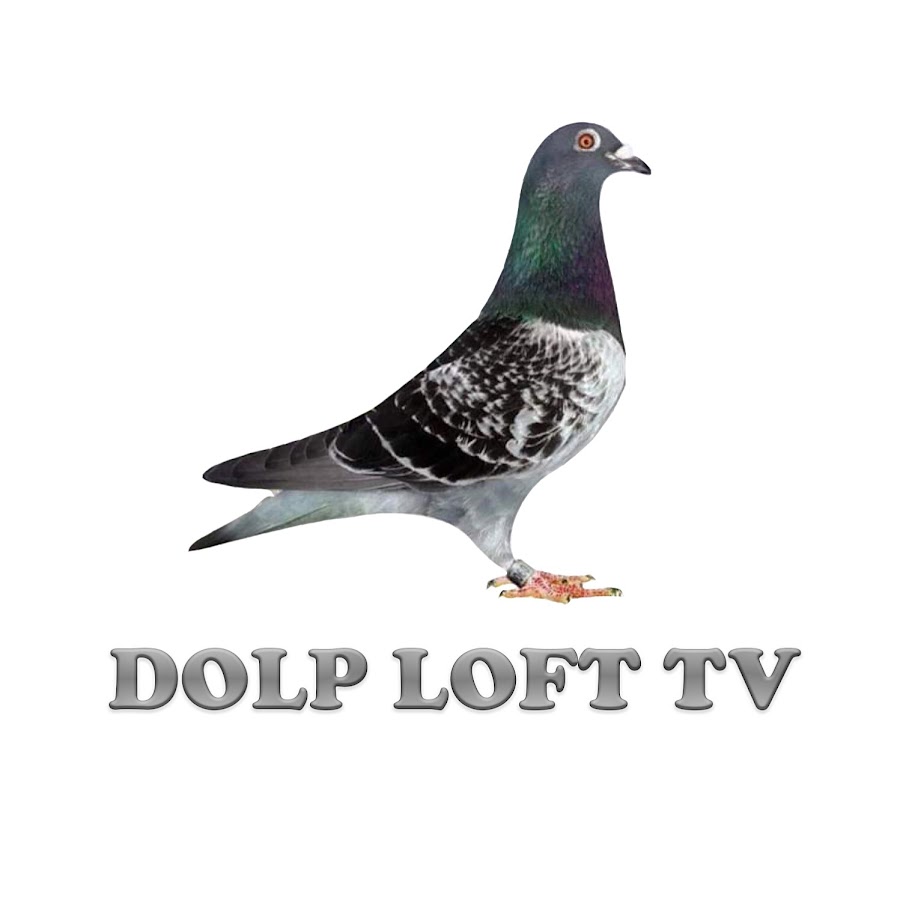 Dolp TV