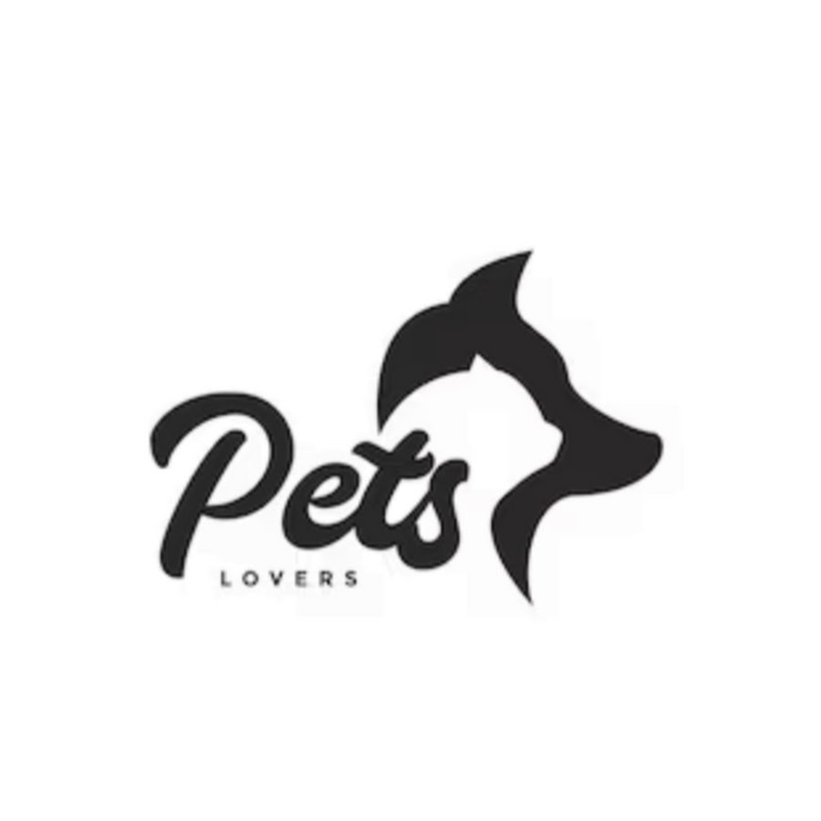 The Pets - YouTube