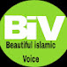 Beautiful Islamic Voice