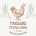 logo Tandlers Trying Hard 