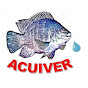 Acuiver