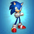 Sonic the hedgehog