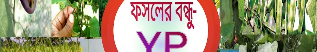 ফসলের বন্ধু - YP