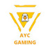 AYC_the_next_lvl