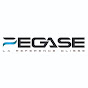 PEGASE ECOLE DE PILOTAGE