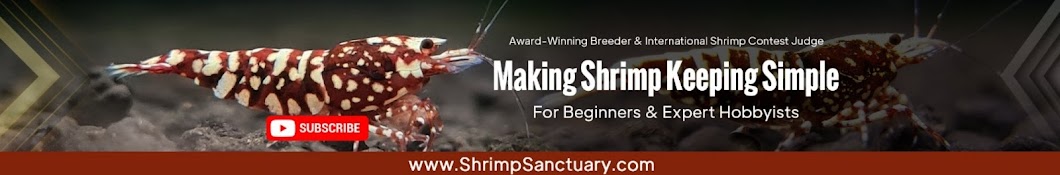 Shrimp Sanctuary