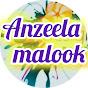 Anzeela Malook Vlog