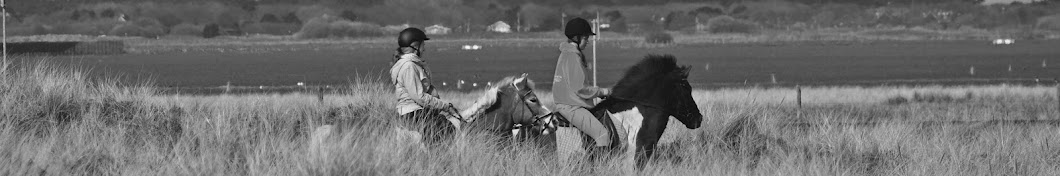 Rijstal Le Cheval Ameland