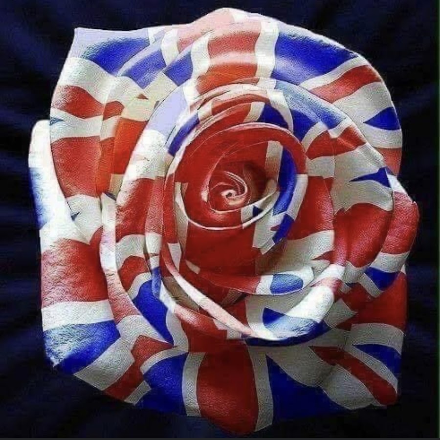 символ великобритании роза