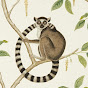The Lonely Lemur