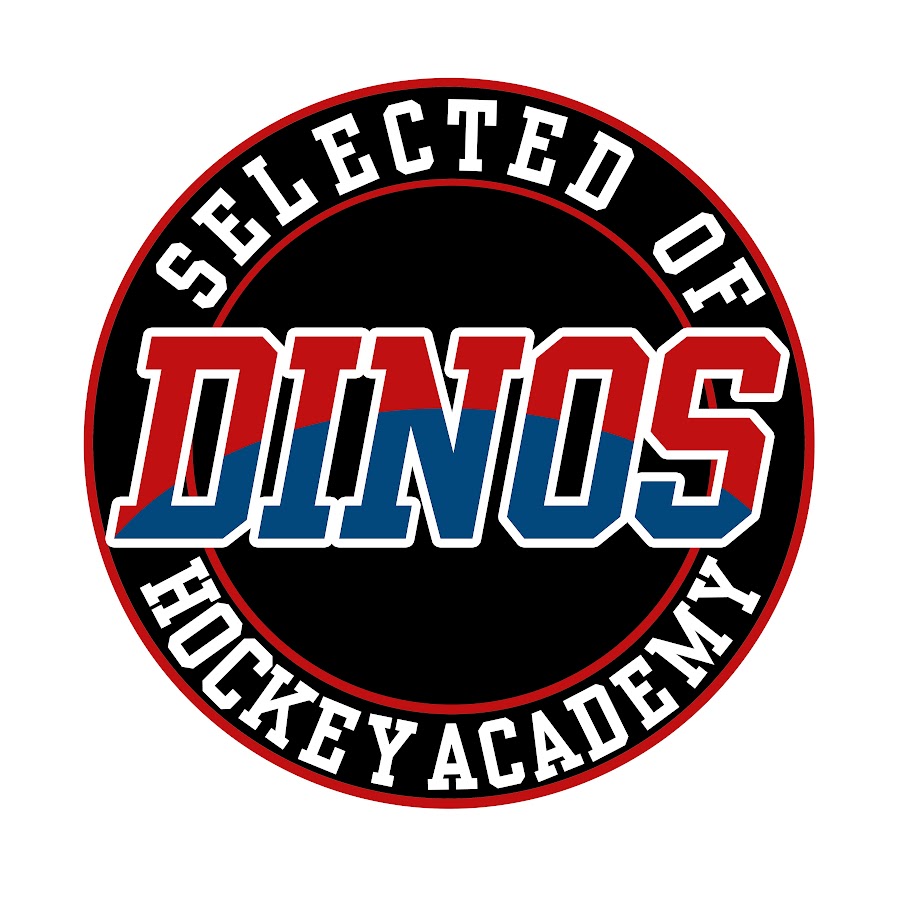 다이노스 하키 티비 (DINOS HOCKEY TV) - YouTube 다이노스 하키 티비 (DINOS HOCKEY TV)