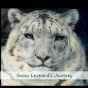 Snow Leopard's Journey