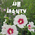 샤론새소식TV