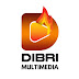 Dibri Multimedia