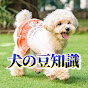 Mocha Love【Toy Poodle】