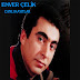 Enver Çelik - Topic