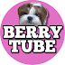 BerryTube