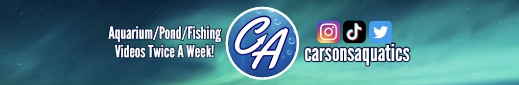 Carson’s Aquatics Banner