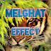 Melghat effect