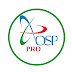 logo OSP PRO