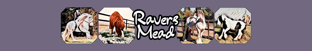 Ravers Mead