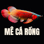 Mê cá rồng