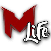 «MrLEV12'Life»