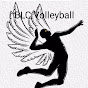 Blc volleyball