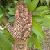 Mehandi artist's jalpa 