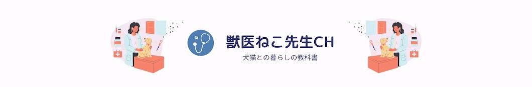 獣医ねこ先生CH 🐾 犬猫との暮らしの教科書📚