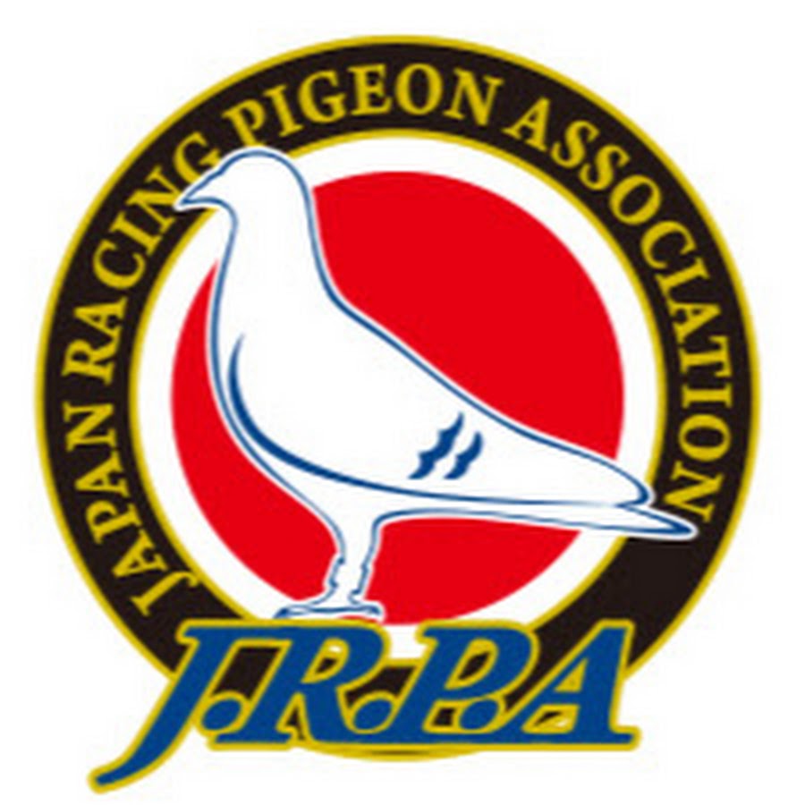 一般社団法人日本鳩レース協会(Japan Racing Pigeon Association) - YouTube