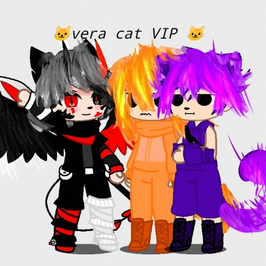 vera cat VIP - YouTube