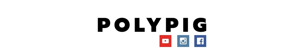 POLYPIG_REVIEW