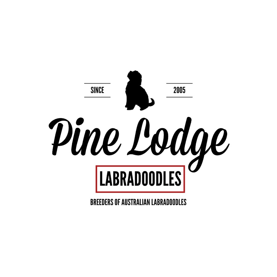 Pine Lodge Labradoodles