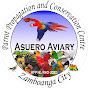 Asuero Aviary