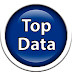 logo Top Data