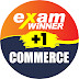 logo Exam Winner +1 Commerce