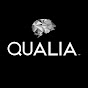 Find Qualia